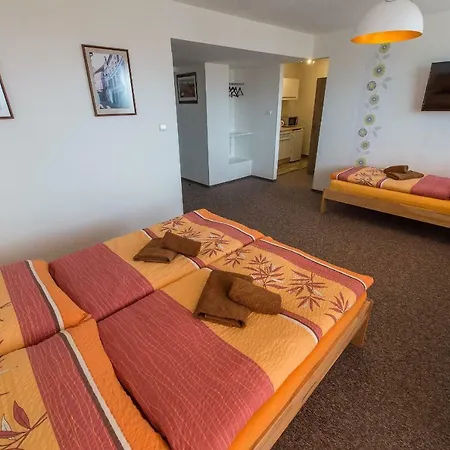 Penzion Top Guest house