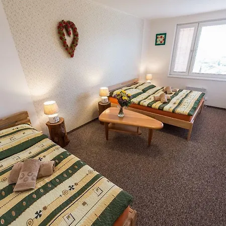 Guest house Penzion Top 3*